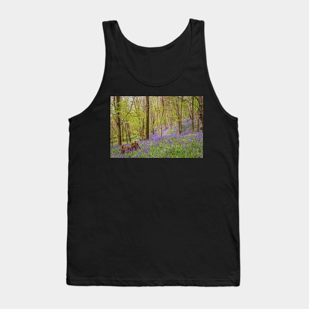 Bluebells, Margam Forest, Wales Tank Top by dasantillo